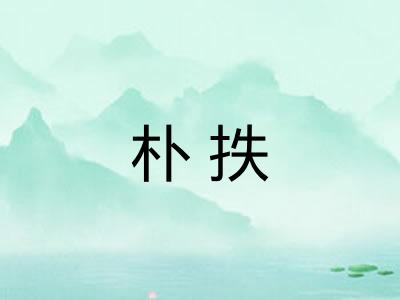 朴抶
