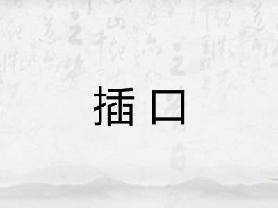 插口