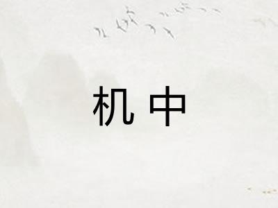 机中