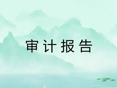 审计报告 审计报告
