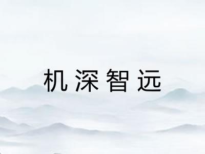 机深智远