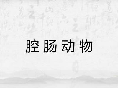 腔肠动物