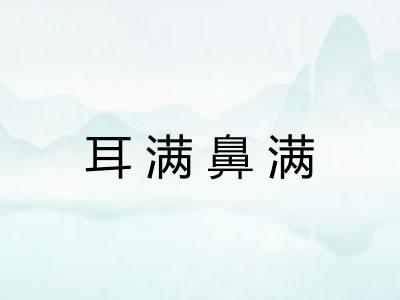 耳满鼻满