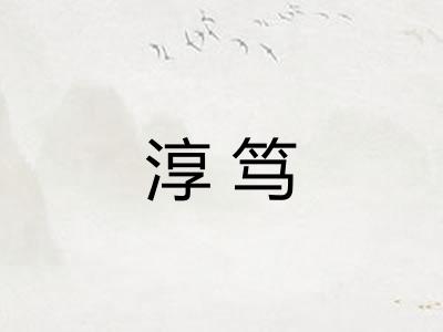 淳笃