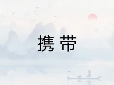 携带 携带