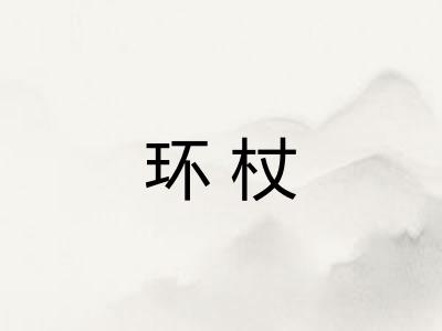 环杖