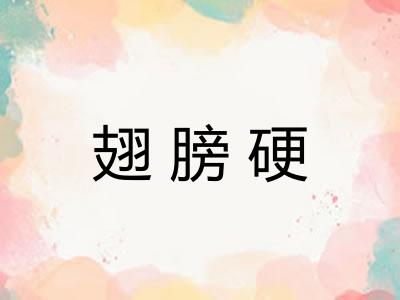 翅膀硬