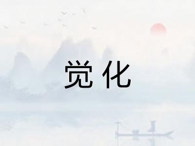 觉化
