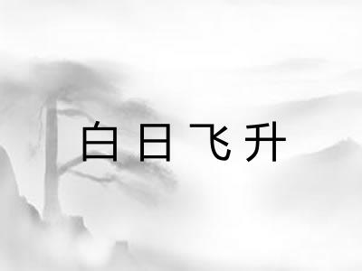 白日飞升