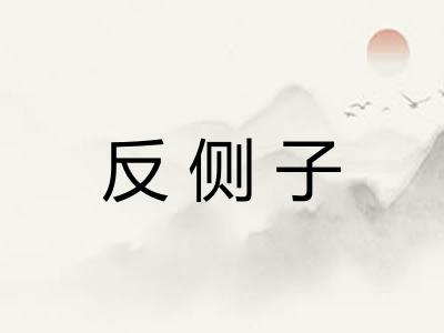 反侧子