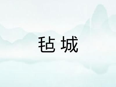 毡城