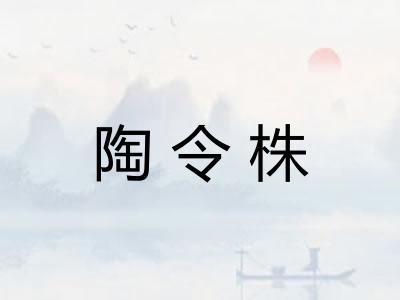 陶令株