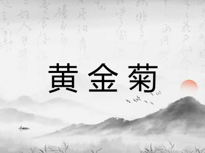 黄金菊