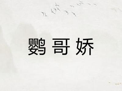 鹦哥娇