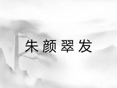 朱颜翠发