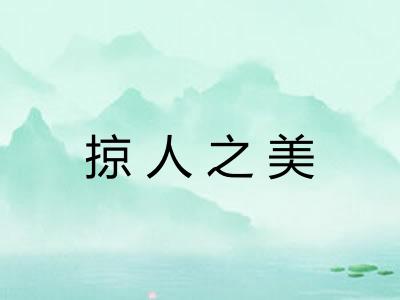 掠人之美