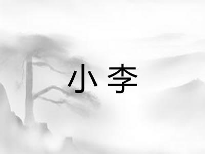 小李