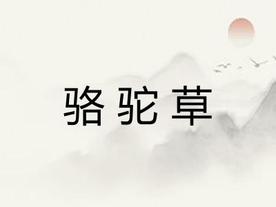 骆驼草