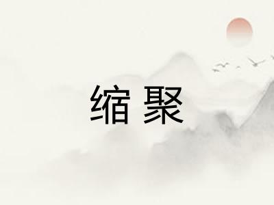 缩聚