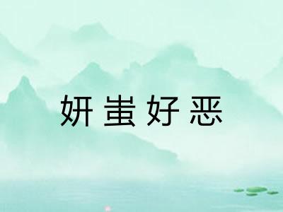 妍蚩好恶