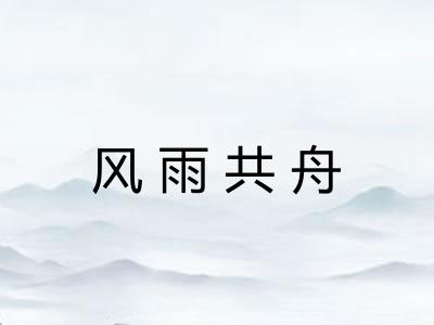 风雨共舟 风雨共舟