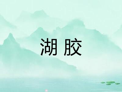 湖胶