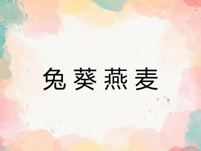 兔葵燕麦