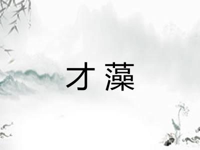 才藻