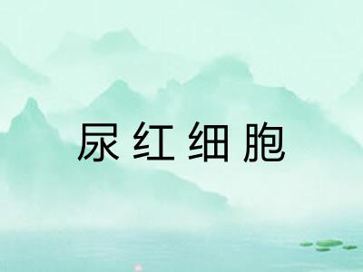 尿红细胞