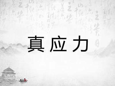 真应力