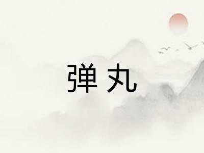 弹丸