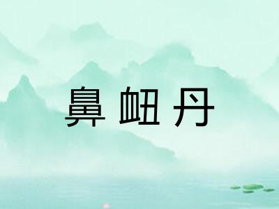 鼻衄丹