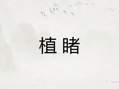 植睹