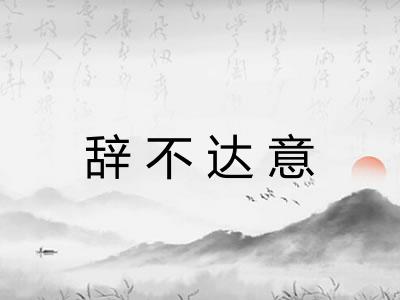 辞不达意