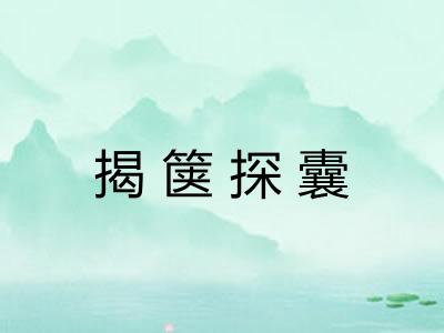 揭箧探囊
