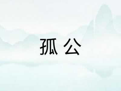 孤公