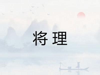 将理