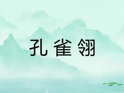 孔雀翎 孔雀翎