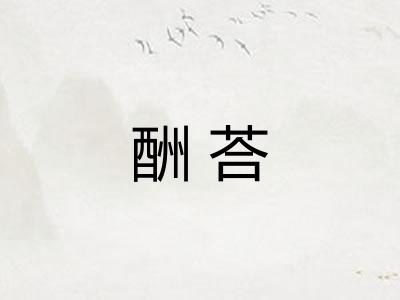 酬荅