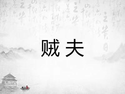 贼夫