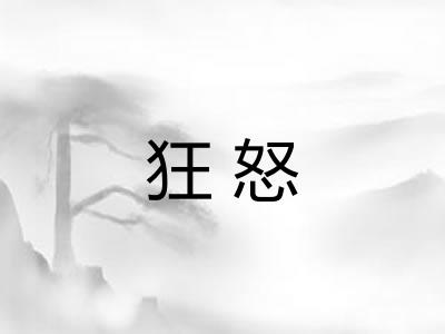 狂怒