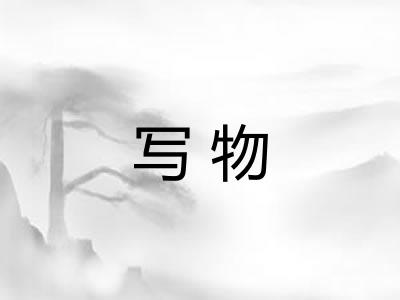 写物