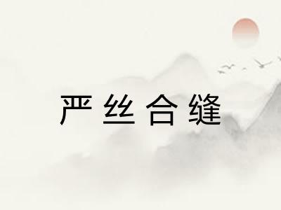 严丝合缝 严丝合缝