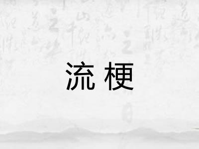 流梗