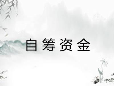 自筹资金 自筹资金