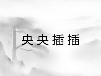 央央插插