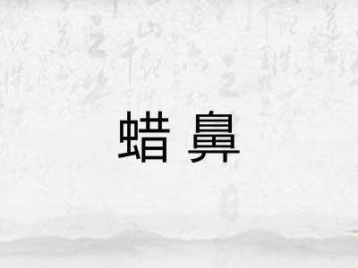蜡鼻