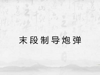 末段制导炮弹